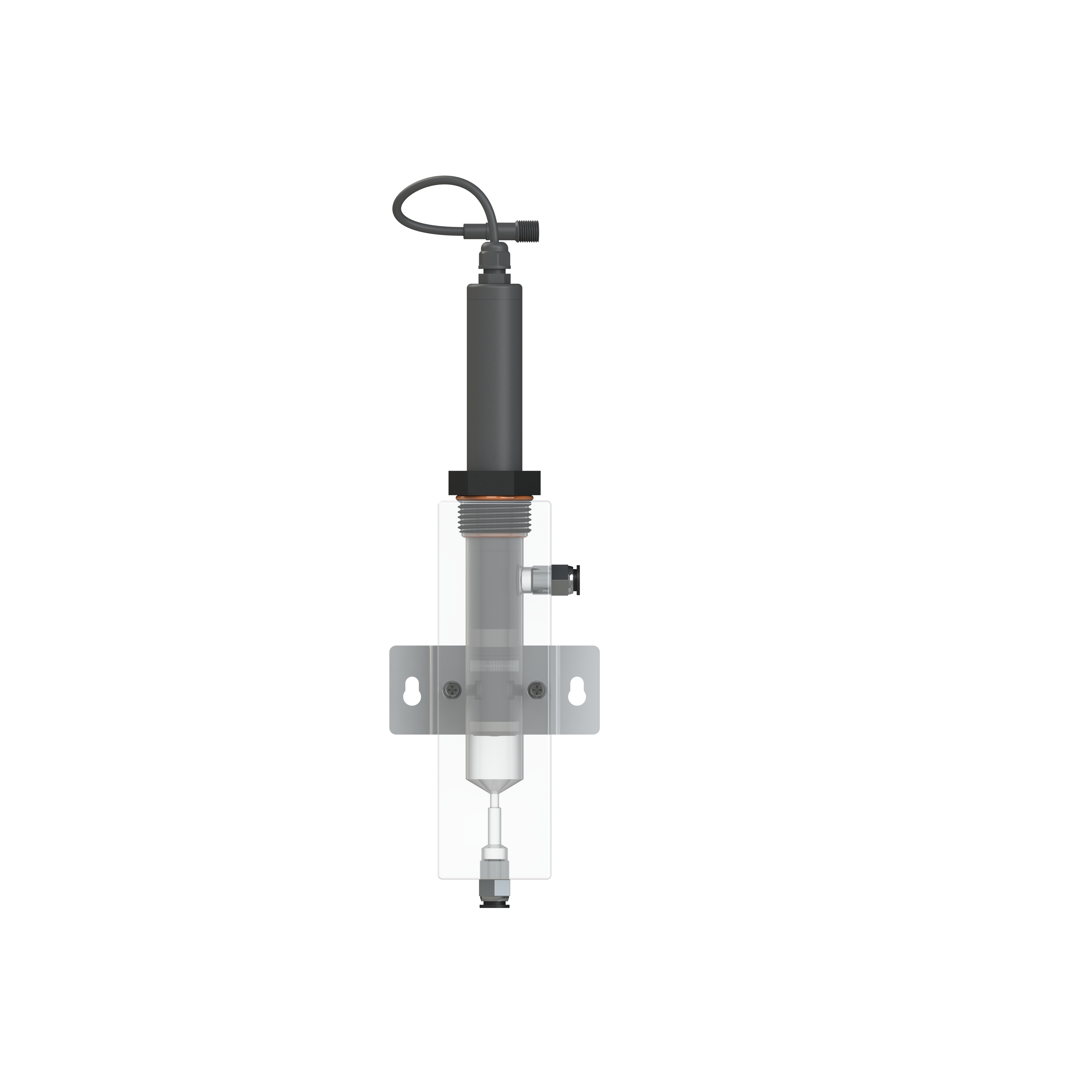 Disinfectant sensors and probes