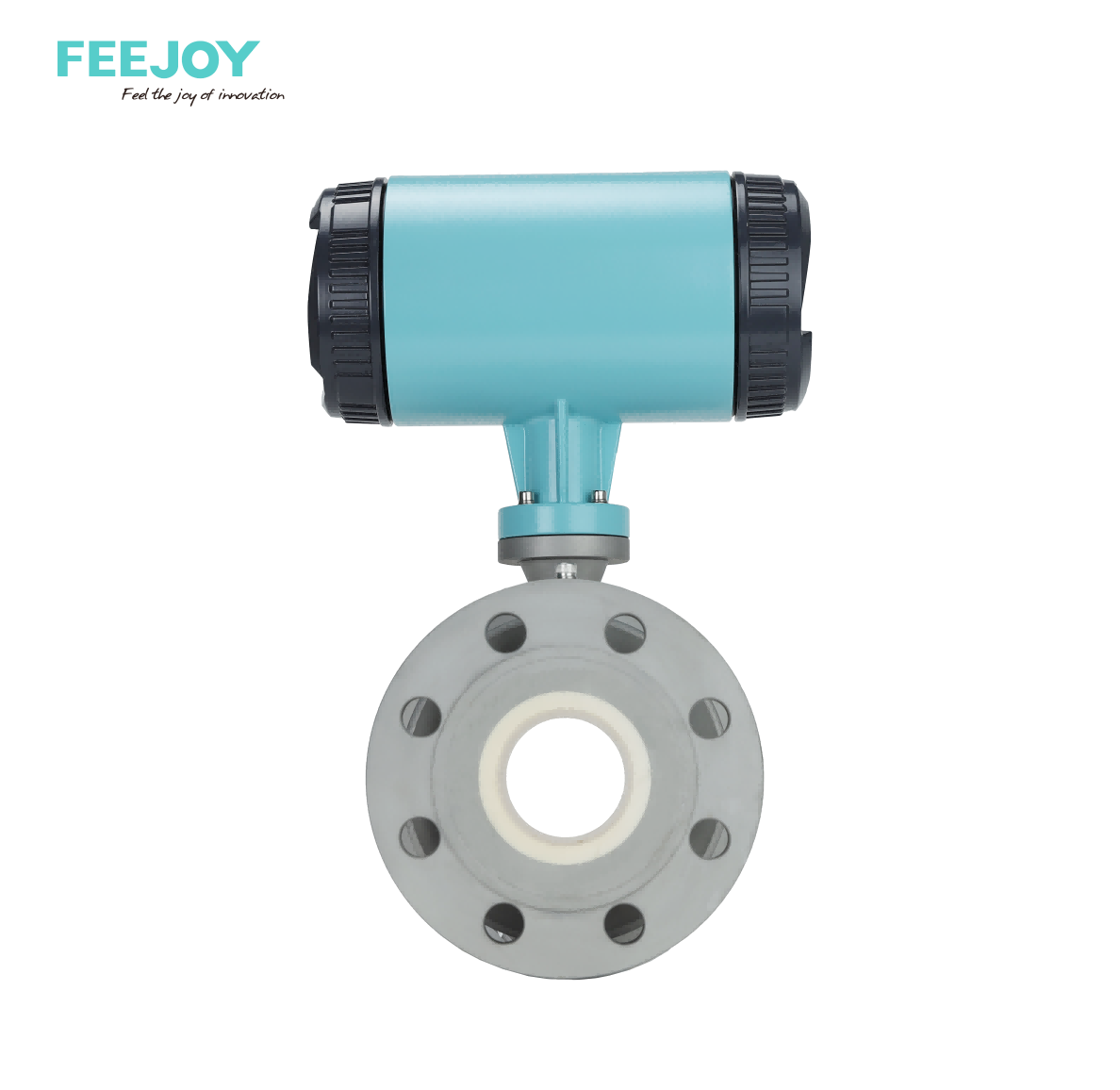 FM10 Electromagnetic flow meter
